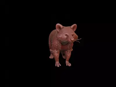 Raccoon Animal Sculpture 3D print model purchase