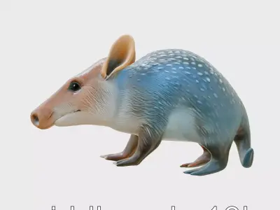 Realistic Aardvark Wildlife Model Low-poly 3D model