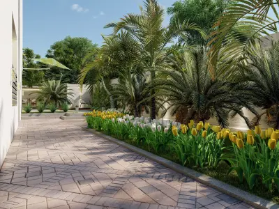 luxury backyard design with swimming pool 3D model