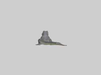Slender-snouted crocodile Low-poly 3D model