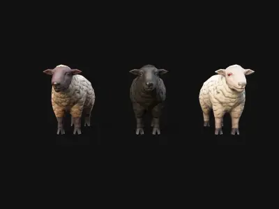 Mobile Sheep Low-poly 3D model