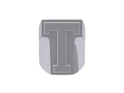 T  Ring 3D print model