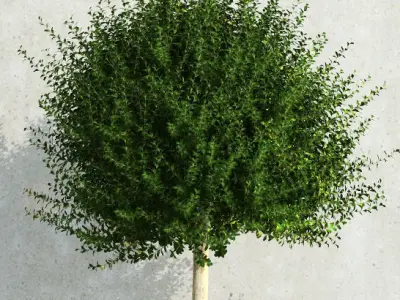 plant 36 Outdoor Planters 3D model