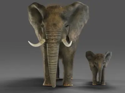 Fur Elephant and Baby Elephant NO Rigged in Blender Low-poly 3D model
