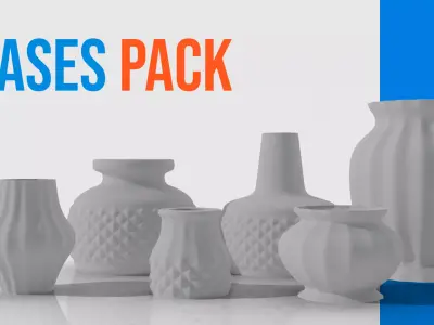 Vases pack Hard-poly 3D model