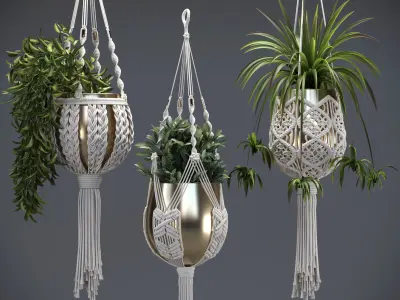 Macrame Plants Hanger 3D model