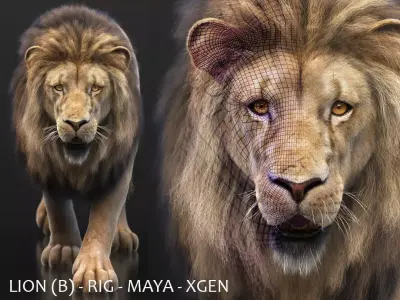 Lion B RIG XGEN CORE 3D model