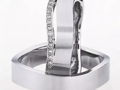 Wedding rings 172 3D print model