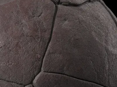 Pavement Materials 74- Brush Rock Stone Sbsar Pbr 4k Seamless Texture