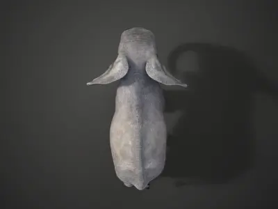 Young African Elephant Animated  VFX Grace 3D model