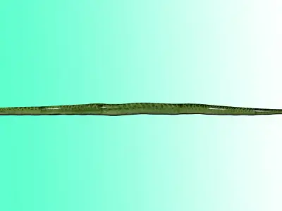 Green Python Snake 3D model