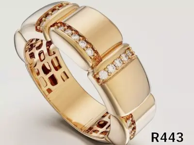 Luxury Segmented Gold Ring with Refined Accent Bands 3D print model