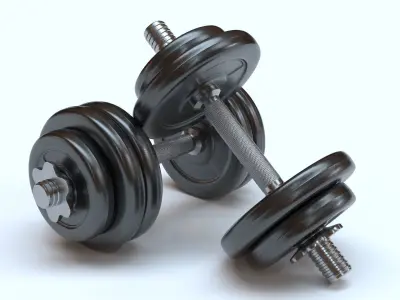 Dumbbell pair of dumbbells 3D model get