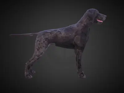 Kurtshaar Black Low Polygon Art Animal Low-poly 3D model