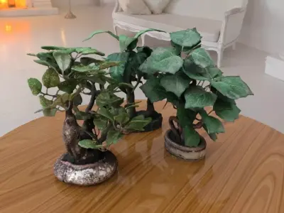 Bonsais Pack 3D model