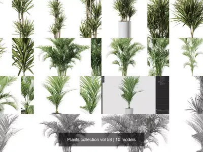 Plants collection vol 58