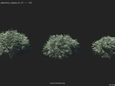 Maxtree Plant Models Vol 44 Low - Mesh 3D model