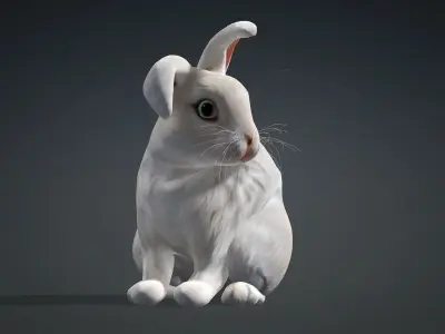 Rabbit-A2 3D model