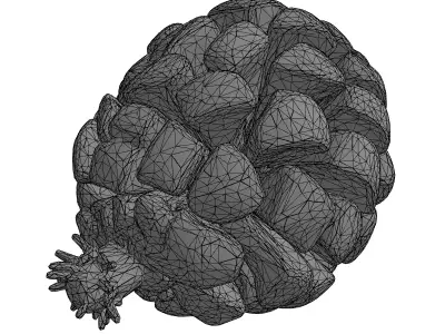 Realistic Detailed Pine Cone 3D Model Low-poly 3D model