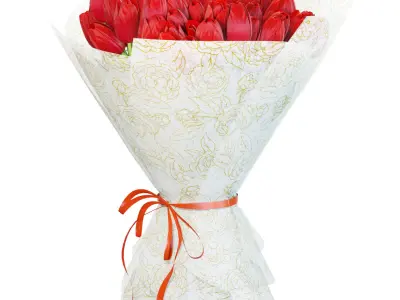 Flower Set 30 - Red Tulips Bouquet 3D model