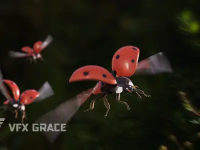 Ladybug Rig - MAYA 3D model