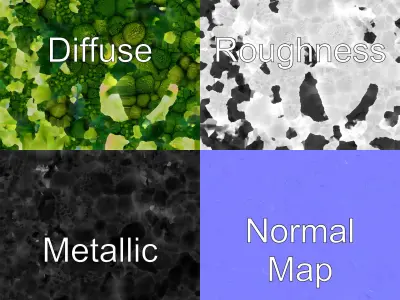 Detailed Green Broccoli Model Pack Low-poly 3D model