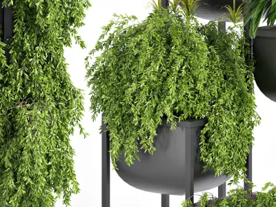 indoor plant set 03 3D model purchase