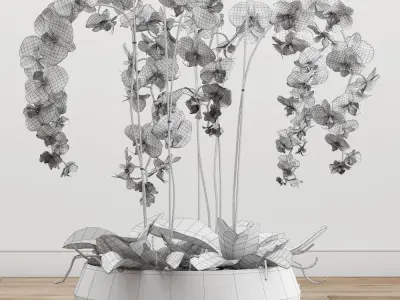 Orchid arrangement 3D model