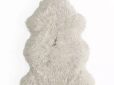 Sheepskin Rug 3D model