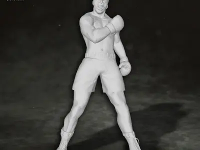 Muhammed Ali box boxer king legend sport Custom 3D print model 3D print model