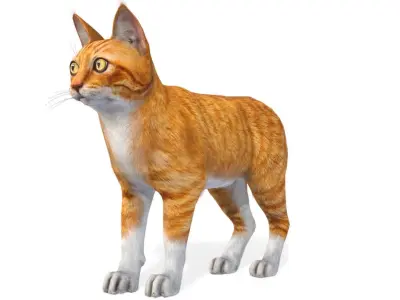 Cat - red color Low-poly 3D model