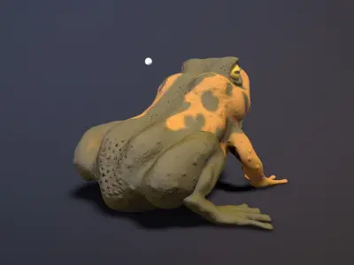 brown frog  Low-poly 3D model