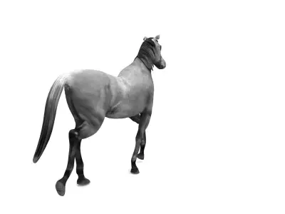 Horse aniamtion Low-poly 3D model