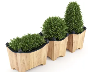 BOXWOOD TOPIARY 3D model