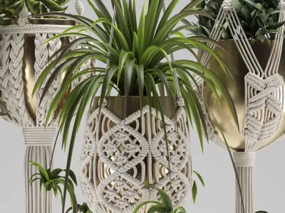 Macrame Plants Hanger 3D model