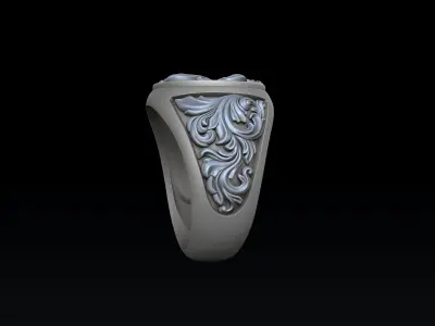 Ornamental Ring and Pendant Collection Set Pack 3D print model