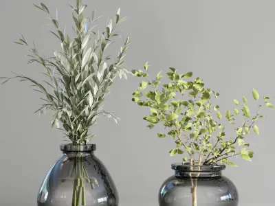 collection Plants Bouquet Indoor glass vase 04 3D model
