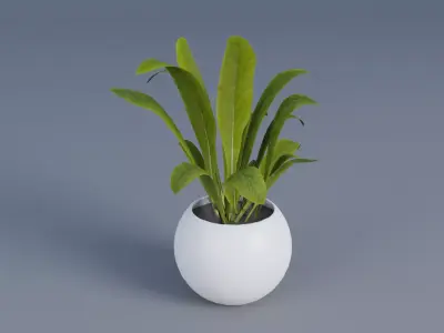 interior plant Low-poly 3D model purchase