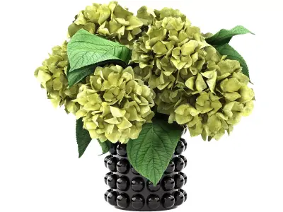 ceramic vase of hydrangea 3D model
