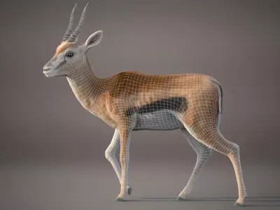 Gazelle Xgen 3D model