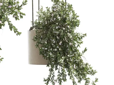 Plants hanging with flowers pots indoor plant 302 Low-poly 3D model