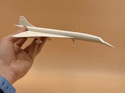 Airplane Concorde Scale 1 200  3D print model