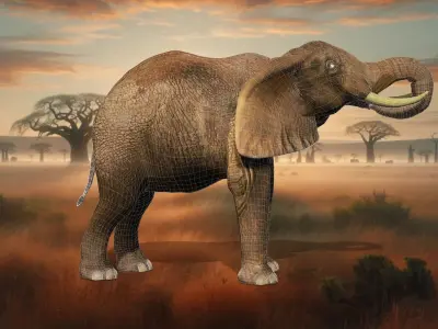 Elephant free Elegance Safari  Low-poly 3D model