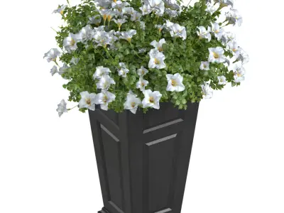 Modern Art Deco Petunia Flower Bed in Pot Plants Porch Balcony  3D model