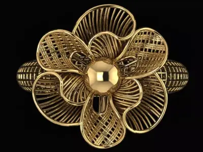 Turkish Ring 3D print model