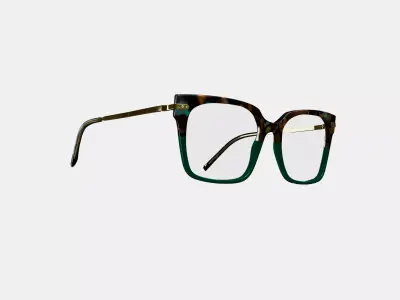 Vela Eyeglasses in Aventurine Tortoise with Polished Gold 3D model