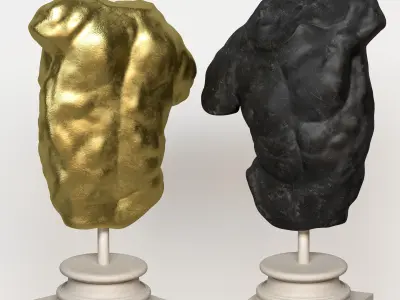 Male Torso Decor Set 25  3D model