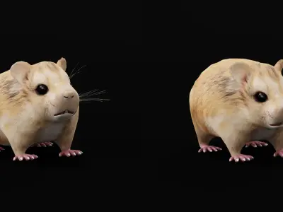 Roborovski Dwarf Hamster Low-poly 3D model