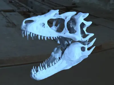 T Rex scull Jaw very Wide 3D 3D model