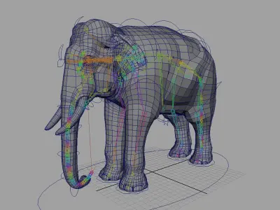 asian elephant 3d rig model 2 3D model